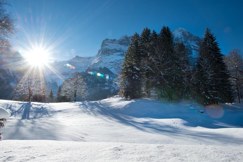 Mom - Alpine Boutique Apartments, Grindelwald Gletscher, Eiger View Terrace Studio Номер фото